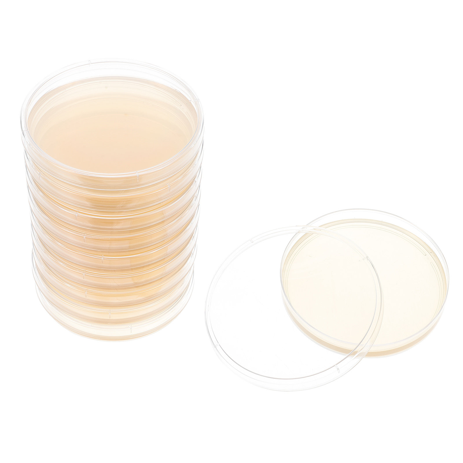 Agar Tissue Culture - 10pcs Nutrient Agar Plates Pre-Poured Ready