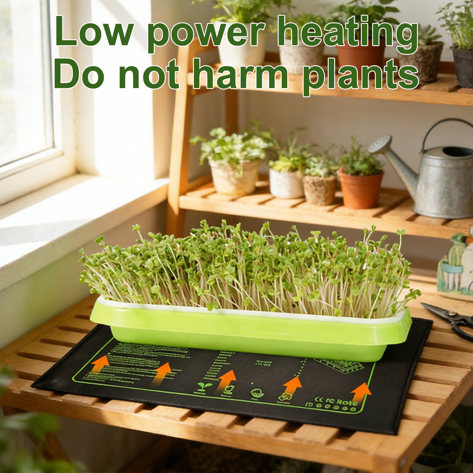 110V/220V Seedling Heating Mat - Heat Mat Seedling ulasan dan harga