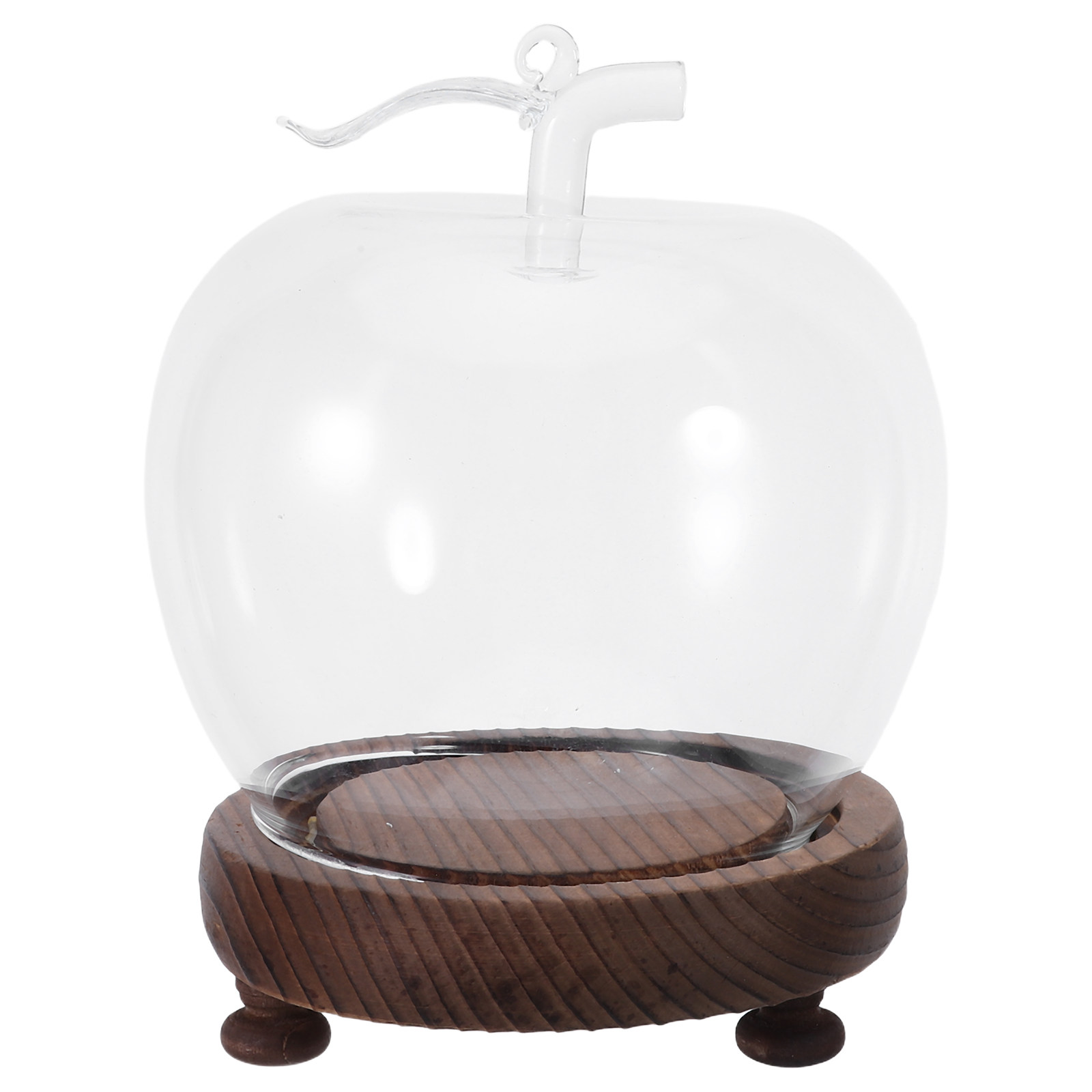 Decorative Glass Dome with Sol - Plastic Dome Clear ulasan dan harga