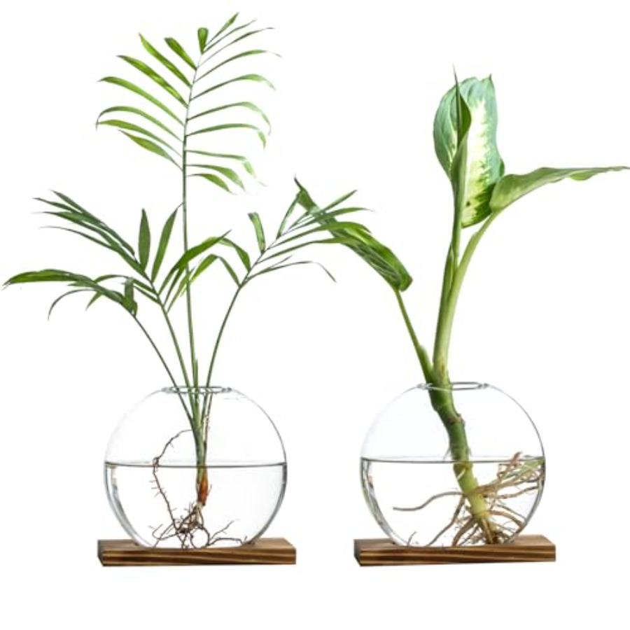 Glass Planter Propagation Stat - Propagation Station Vase ulasan dan harga
