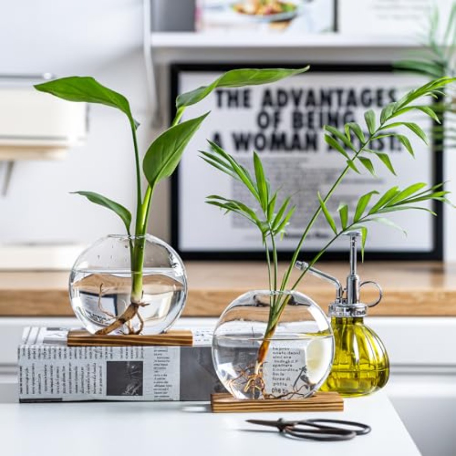 Glass Planter Propagation Stat - Propagation Station Vase ulasan dan harga