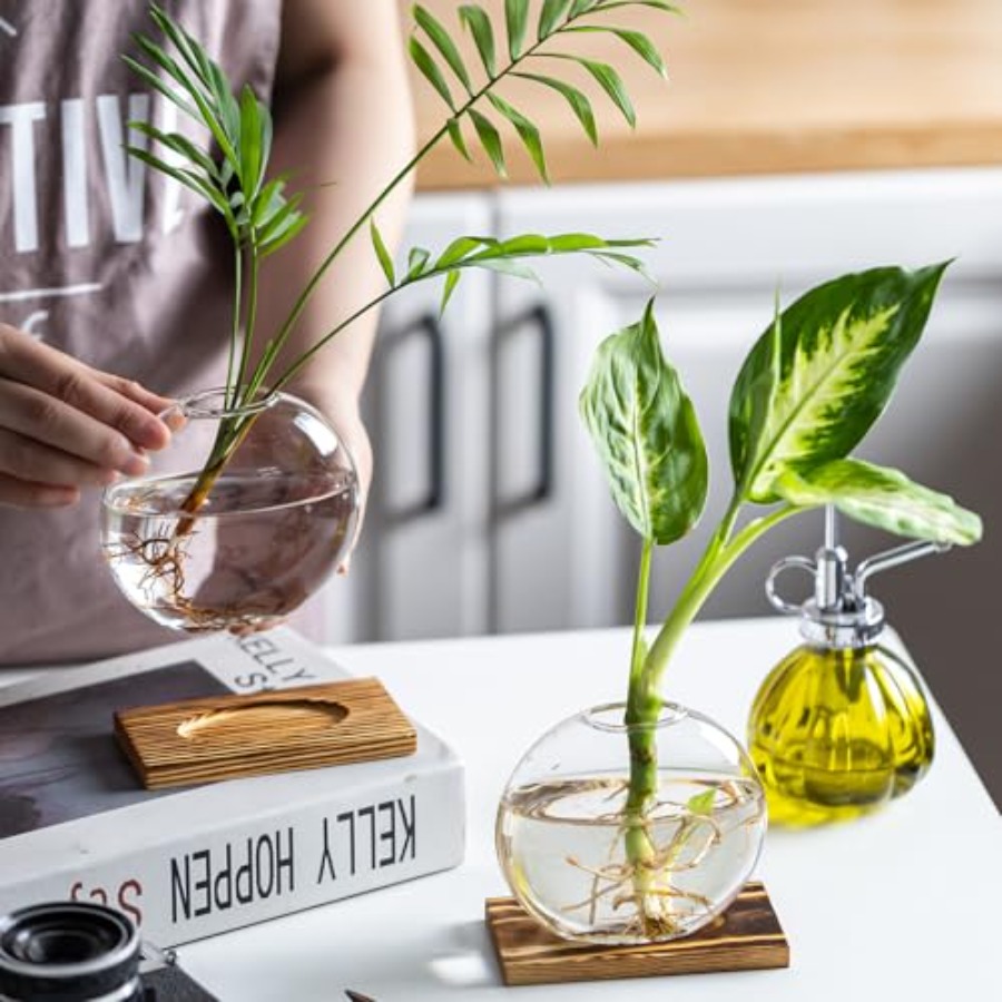 Glass Planter Propagation Stat - Propagation Station Vase ulasan dan harga