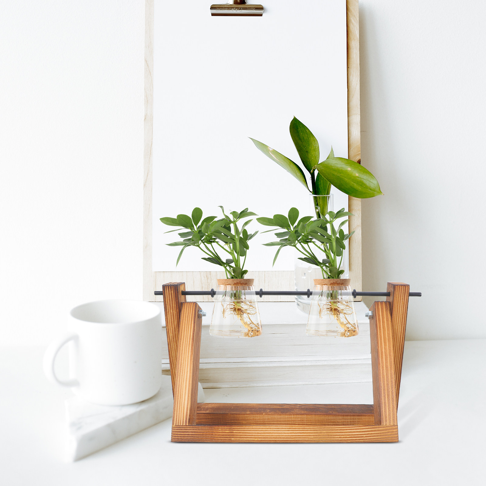 Hydroponic Propagating Jars Ho - Propagation Station Vase ulasan dan harga