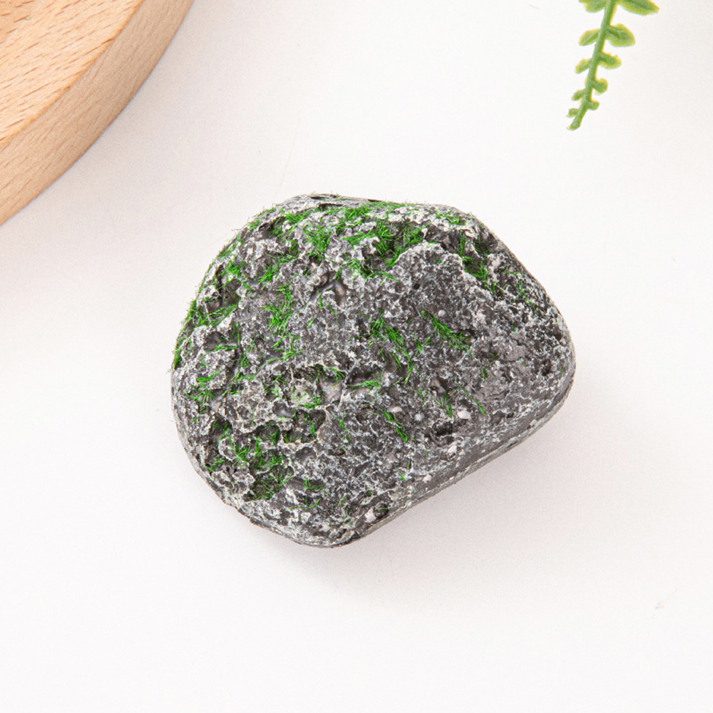10PCS Mossy Gray Stone Multi-s - Sphagnum Moss Dry ulasan dan harga