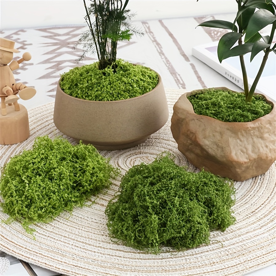 1pack Artificial Fake Moss, 1. - Sphagnum Moss Dry ulasan dan harga