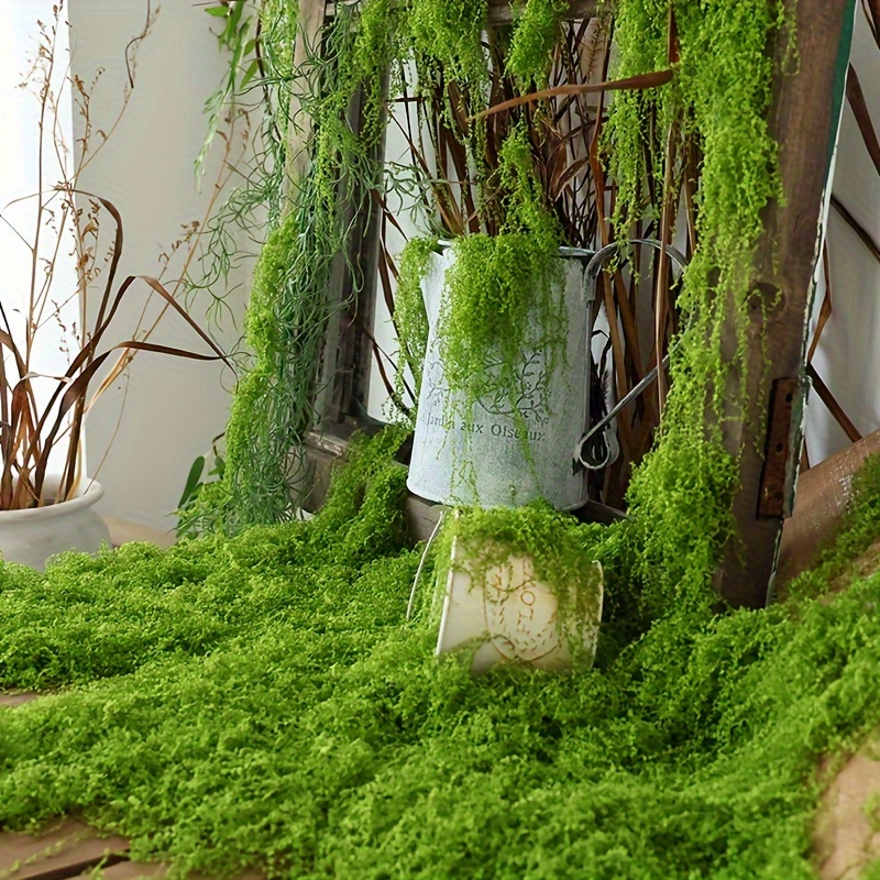1pack Artificial Fake Moss, 1. - Sphagnum Moss Dry ulasan dan harga