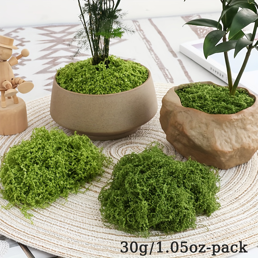1pack Artificial Fake Moss, 1. - Sphagnum Moss Dry ulasan dan harga