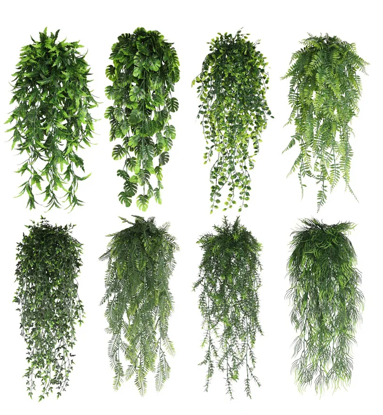 Persian fern Leaves Vines Home - Sphagnum Moss Dry ulasan dan harga