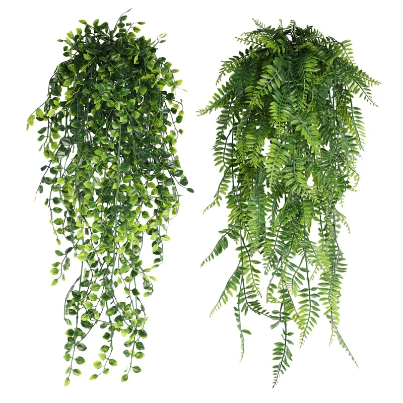 Persian fern Leaves Vines Home - Sphagnum Moss Dry ulasan dan harga