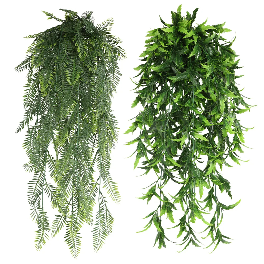 Persian fern Leaves Vines Home - Sphagnum Moss Dry ulasan dan harga