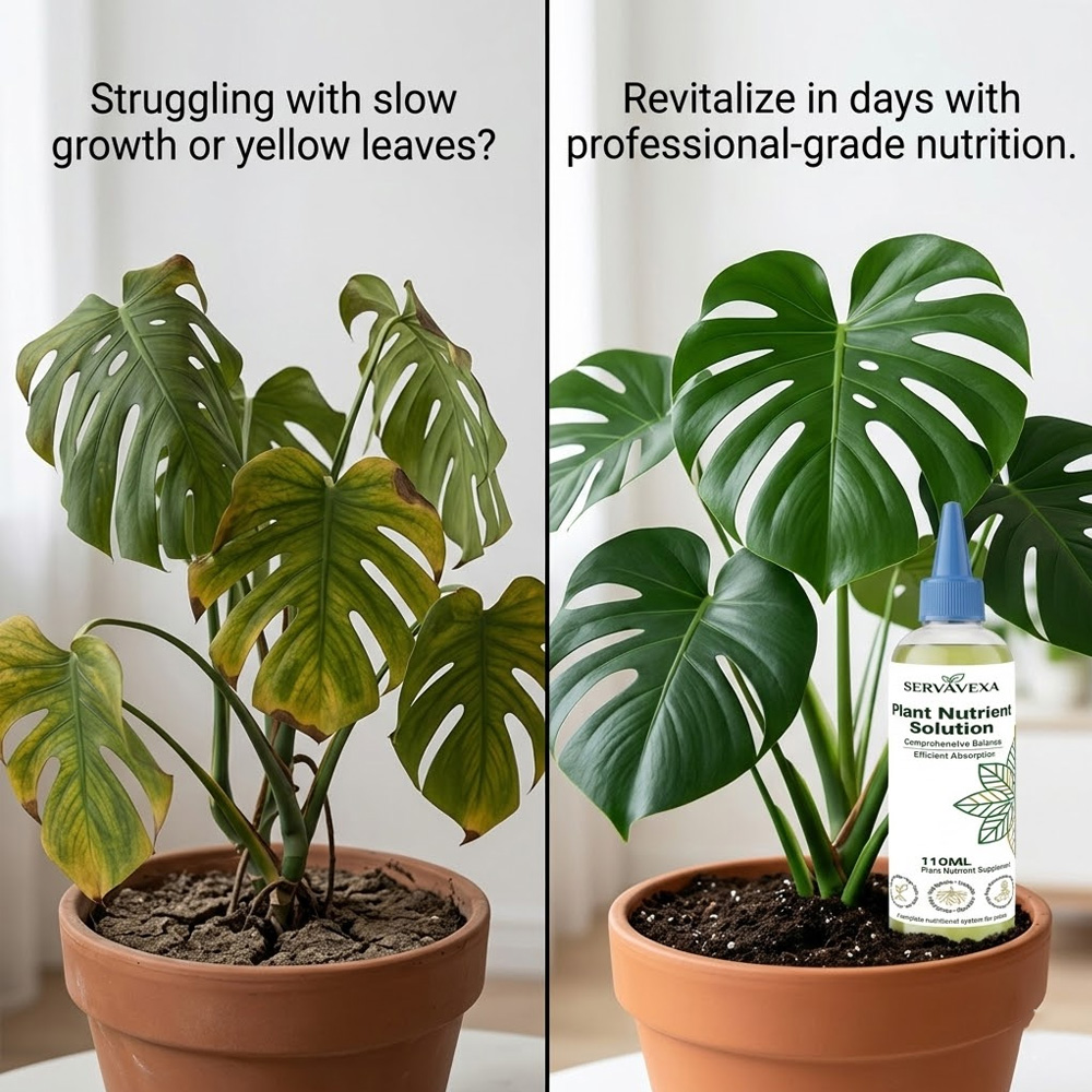 Plant  Nutrient Solution Rapid - Root Stimulator Liquid ulasan dan harga