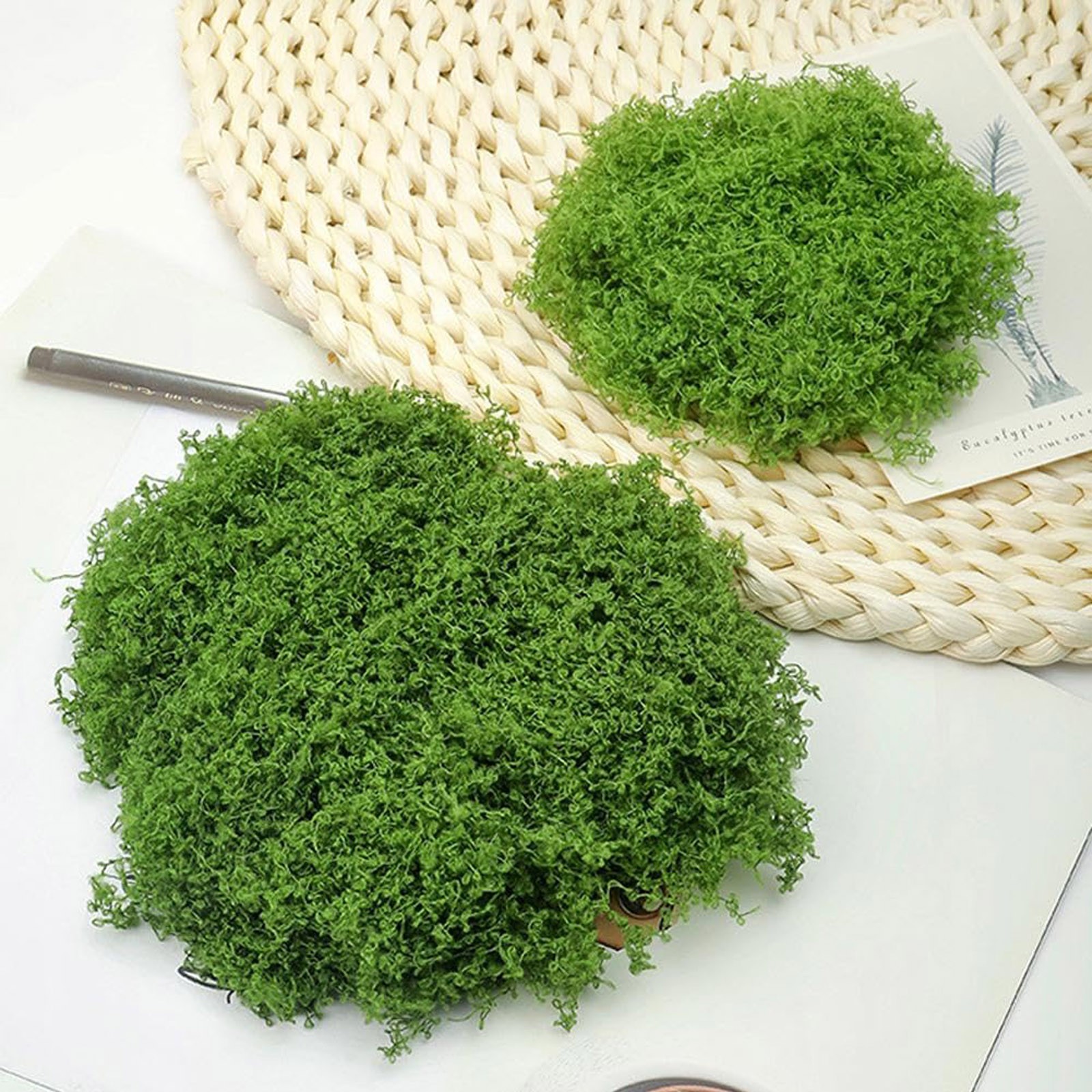50/200g Artificial Moss For De - Sphagnum Moss Dry ulasan dan harga