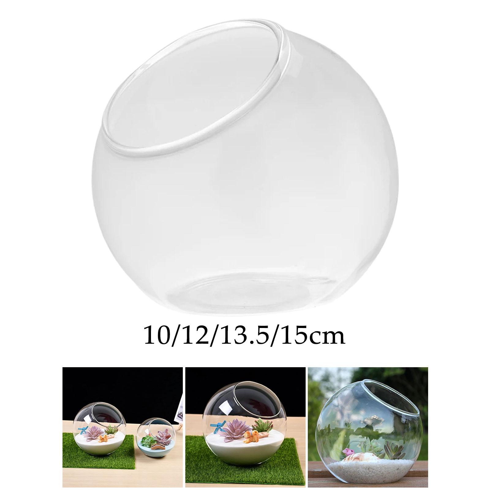 Terrarium Glass Vase Unique Ce - Propagation Station Vase ulasan dan harga