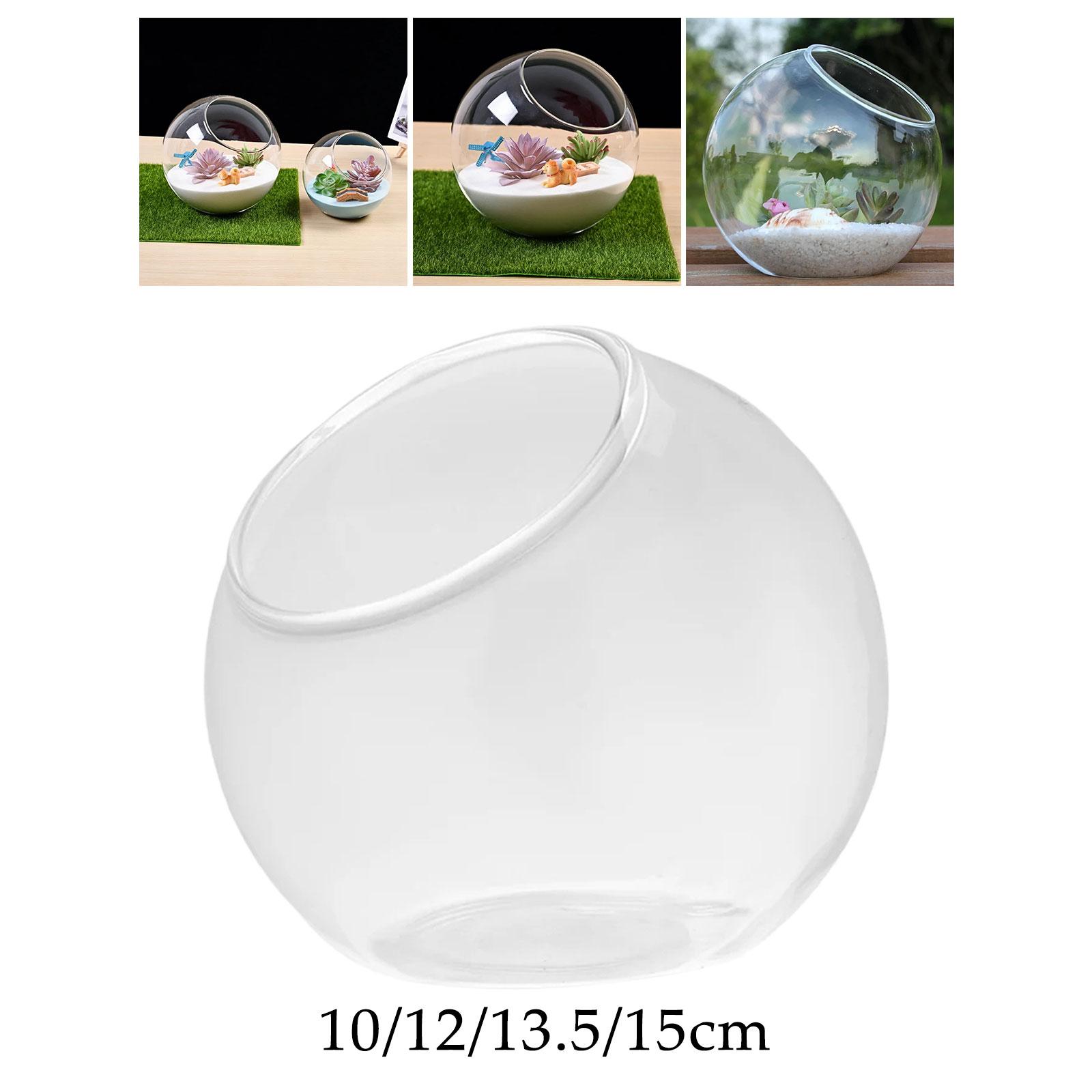 Terrarium Glass Vase Unique Ce - Propagation Station Vase ulasan dan harga