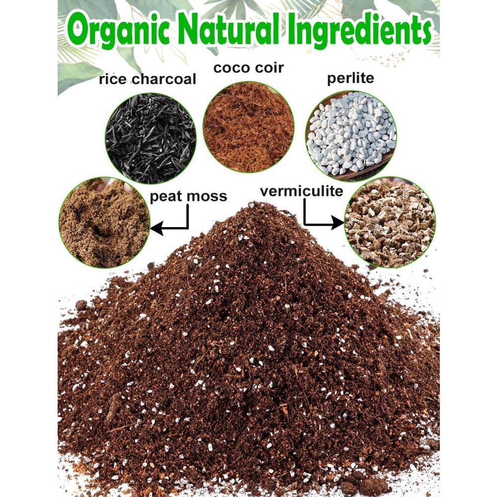 Potting Soil for All Indoor Ho - Coco Perlite Mix ulasan dan harga