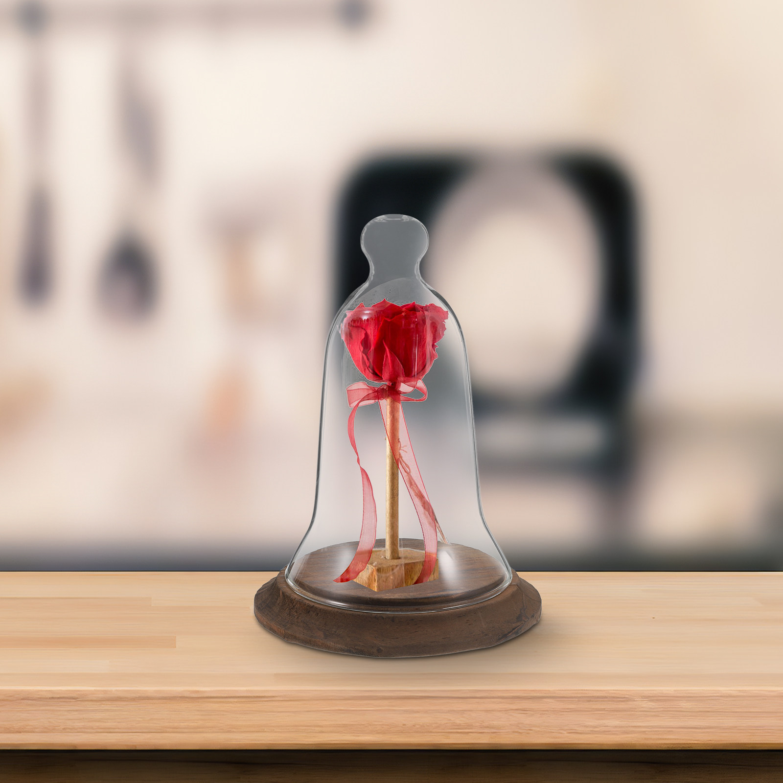 High Borosilicate Glass Cloche - Plastic Dome Clear ulasan dan harga