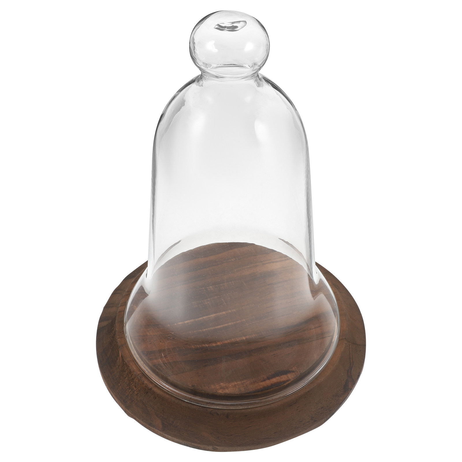 High Borosilicate Glass Cloche - Plastic Dome Clear ulasan dan harga