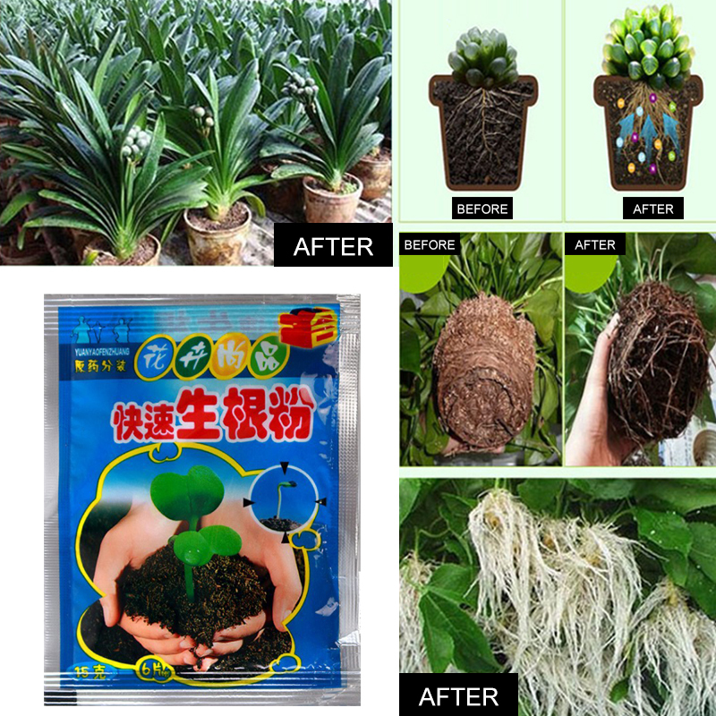 5pcs Fast Rooting Powder Plant - Rooting Hormone Powder ulasan dan harga