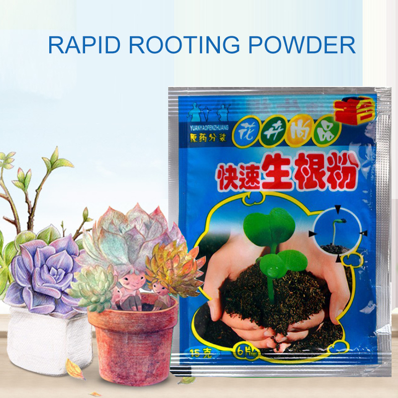 5pcs Fast Rooting Powder Plant - Rooting Hormone Powder ulasan dan harga