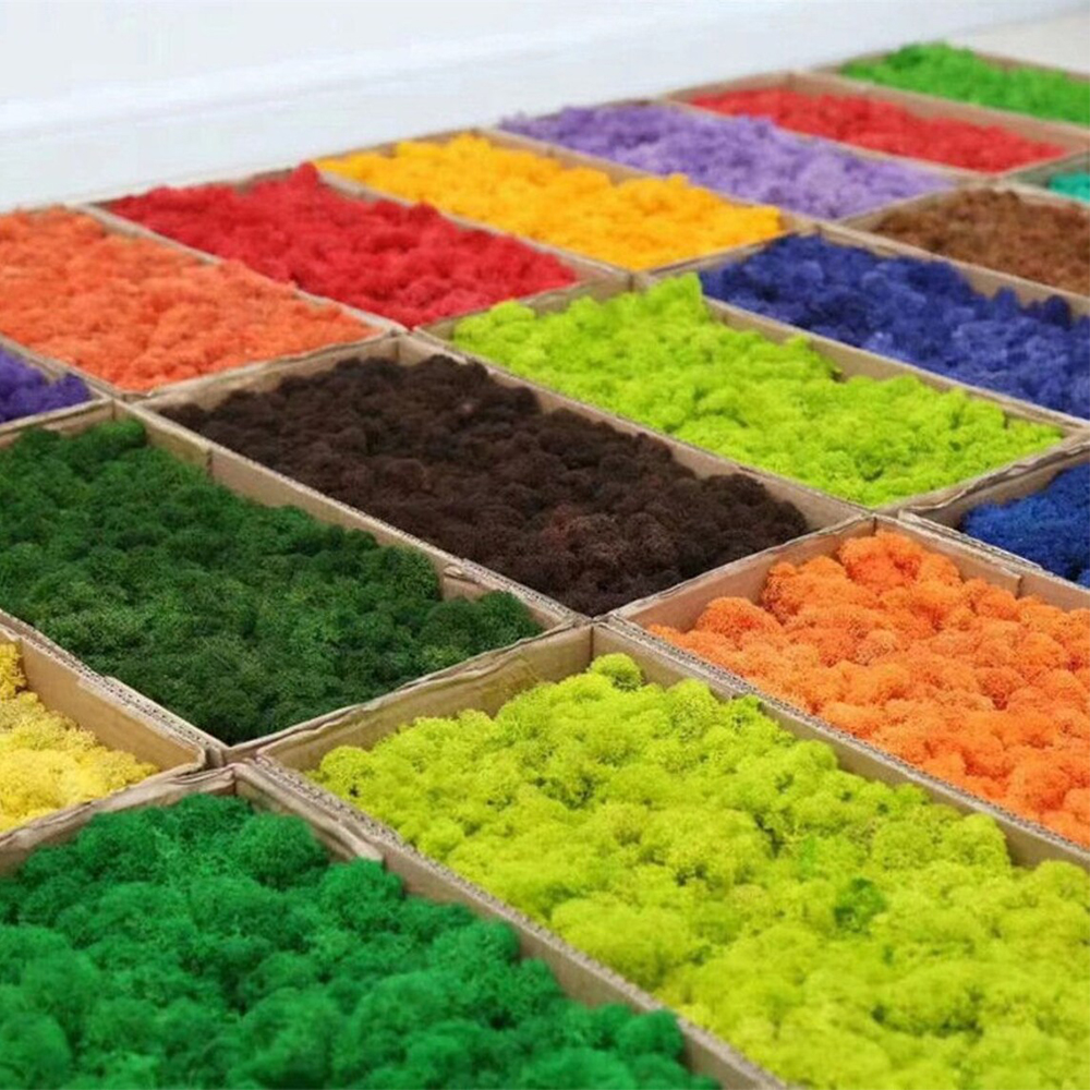 Artificial Green Plants Mini L - Sphagnum Moss Dry ulasan dan harga