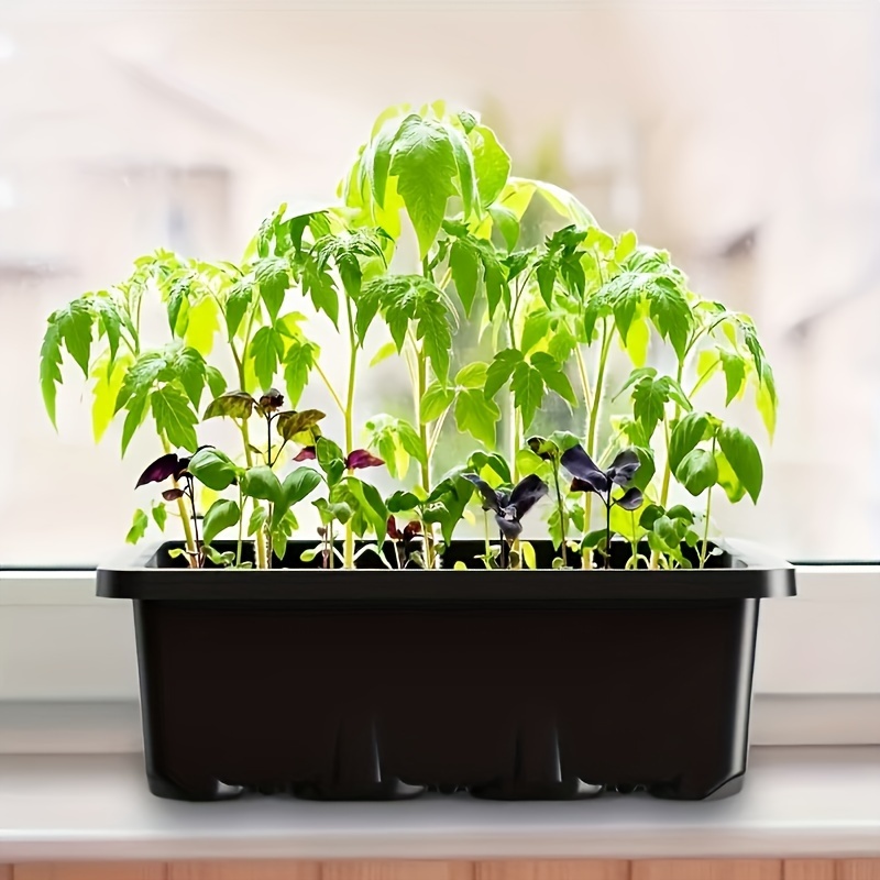 Seedling Starter Kit 1/2/3 Set - Humidity Dome Kit ulasan dan harga