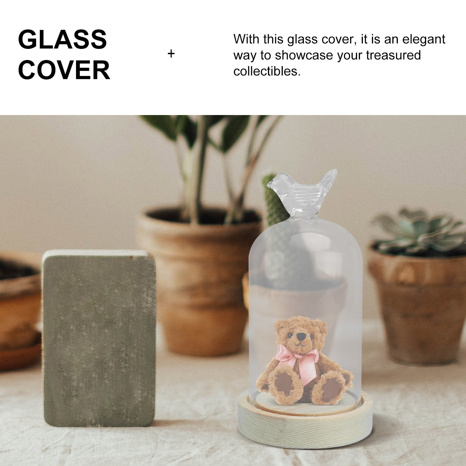1Pcs Glass Display Cover Clear - Plastic Dome Clear ulasan dan harga