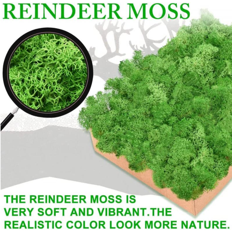 New 50/30/10g Artificial Green - Sphagnum Moss Dry ulasan dan harga
