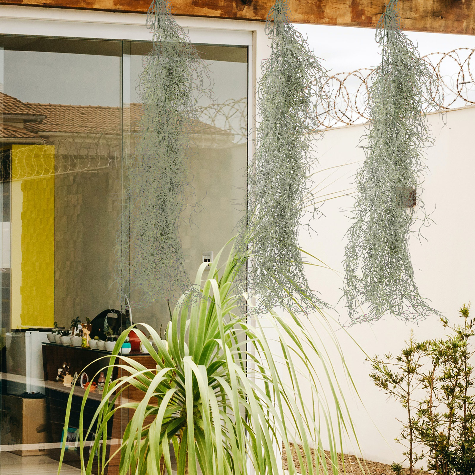 Hanging Moss Decor Artificial  - Sphagnum Moss Dry ulasan dan harga