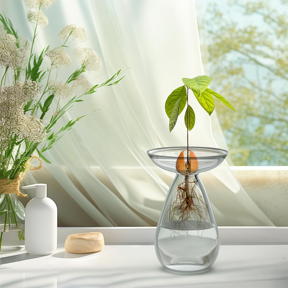 Avocado Seed Starter Vase Tran - Propagation Station Vase ulasan dan harga