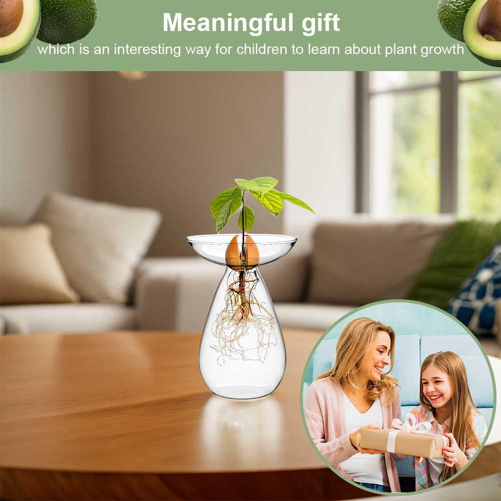 Avocado Seed Starter Vase Tran - Propagation Station Vase ulasan dan harga