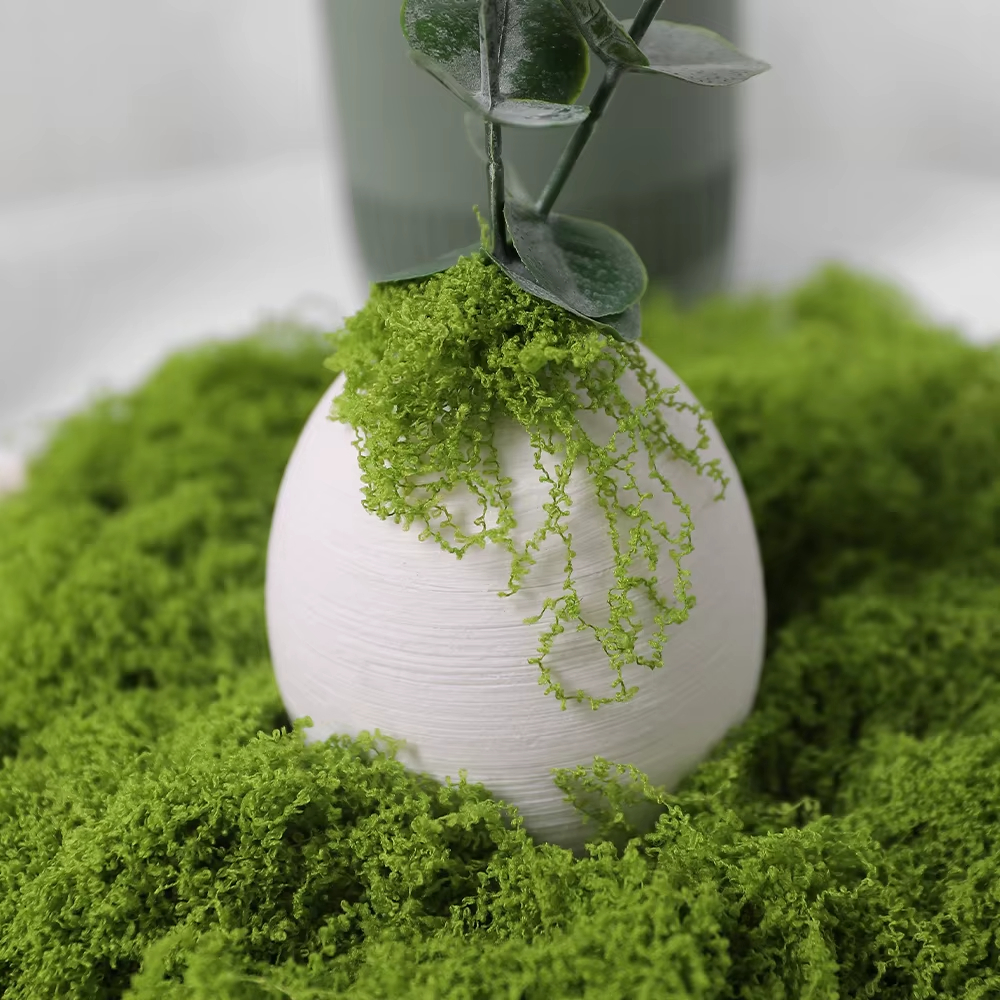 30/100g Artificial Green Plant - Sphagnum Moss Dry ulasan dan harga