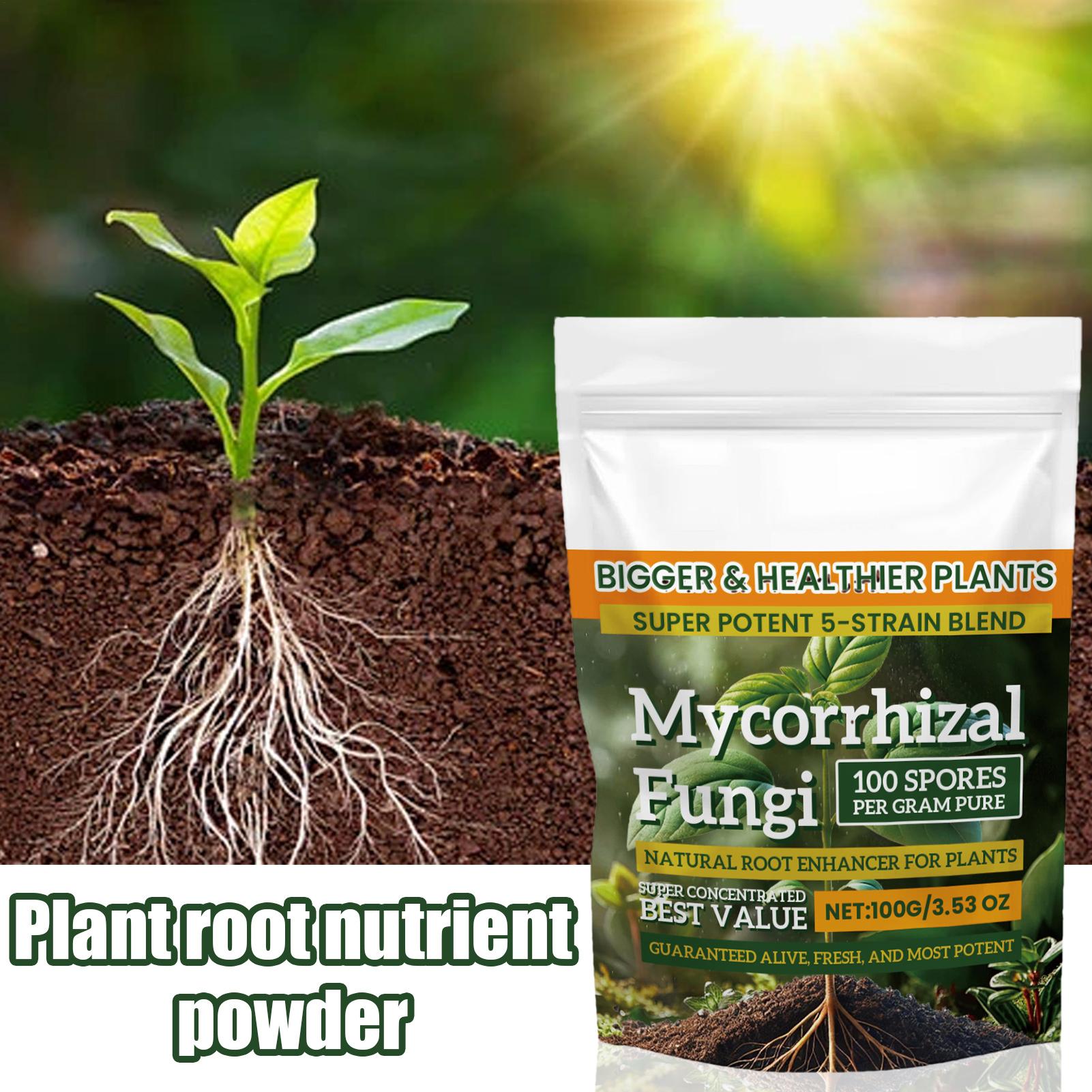 Plant Growth Enhancer Powder 1 - Rooting Hormone Powder ulasan dan harga