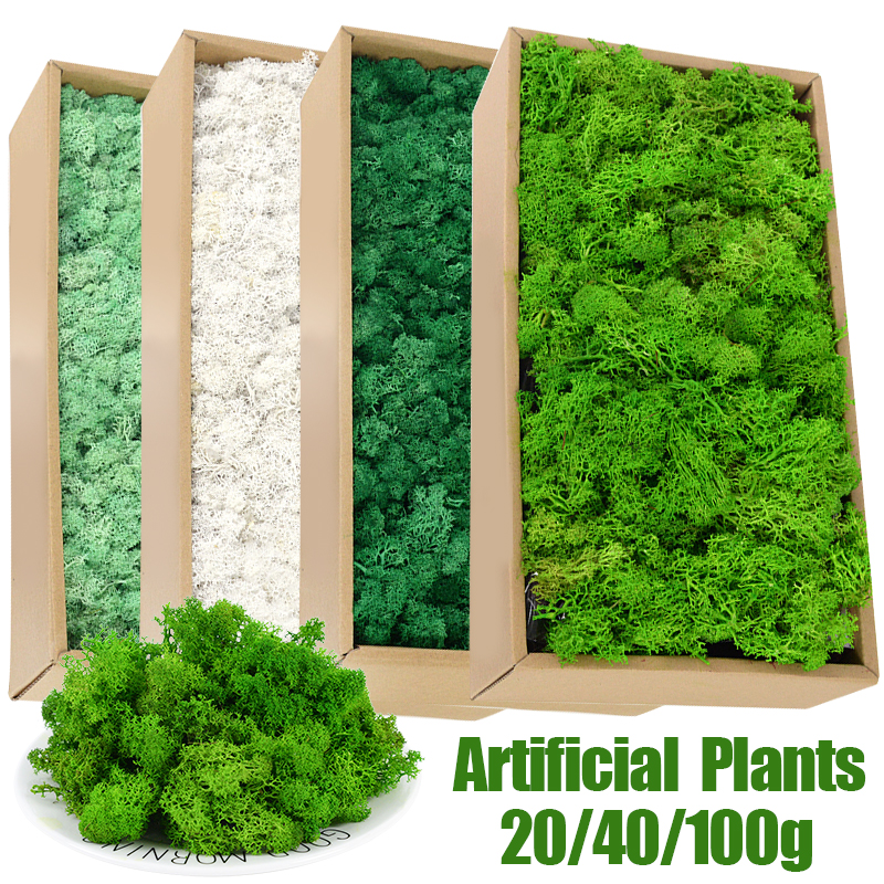 20/40/100g Artificial Green Pl - Sphagnum Moss Dry ulasan dan harga