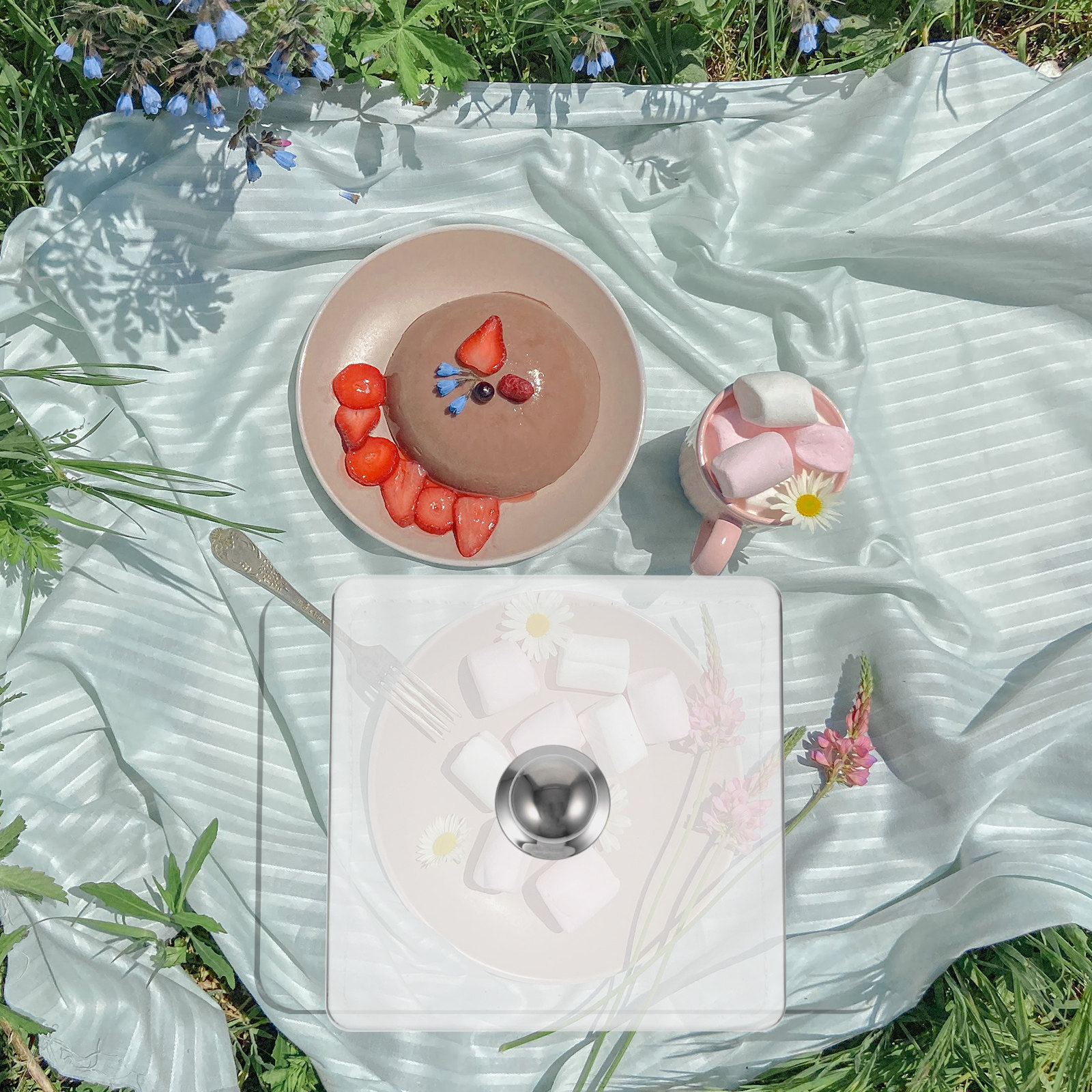 Square Glass Cake Dome Buffet  - Plastic Dome Clear ulasan dan harga