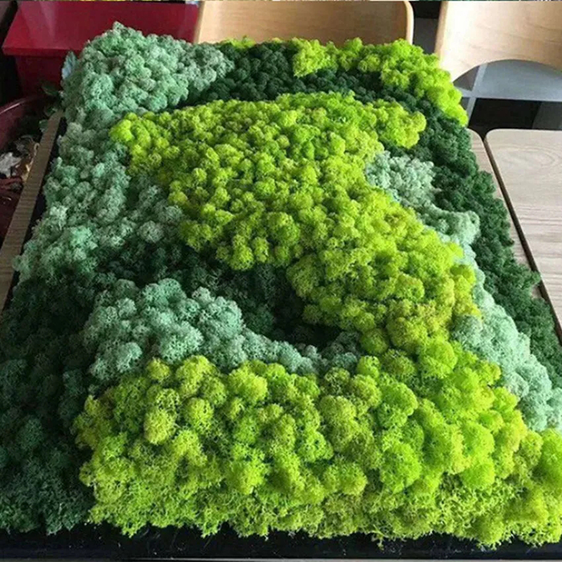 40/20g Artificial Moss Grass G - Sphagnum Moss Dry ulasan dan harga