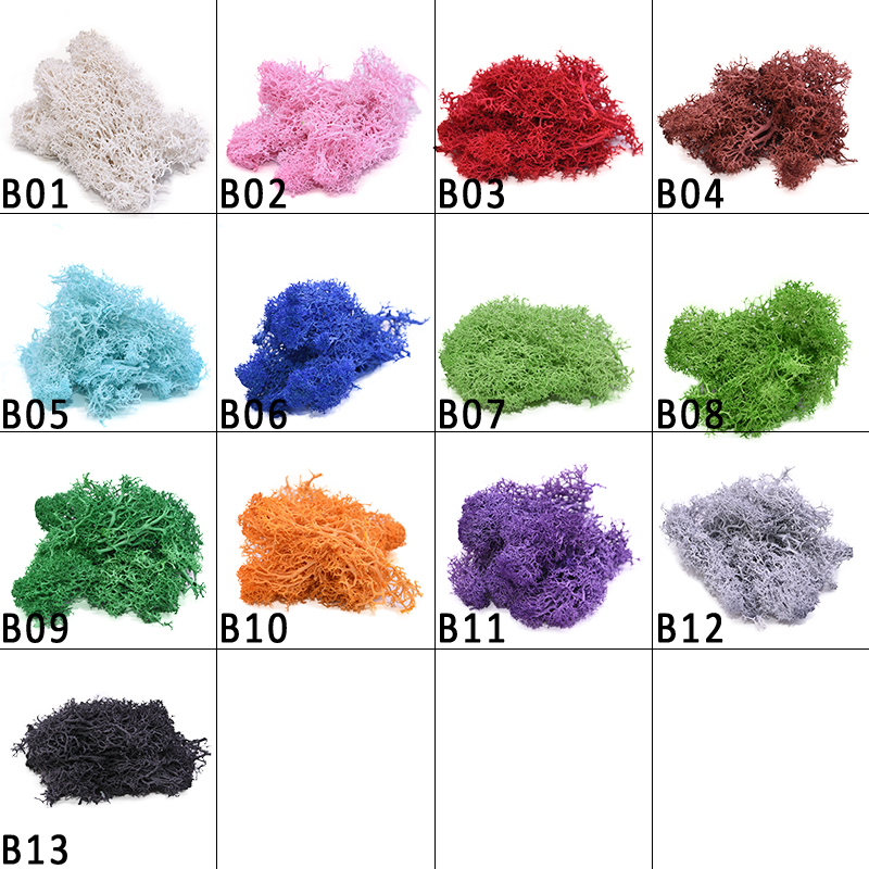20-40g Artificial Natural Plan - Sphagnum Moss Dry ulasan dan harga